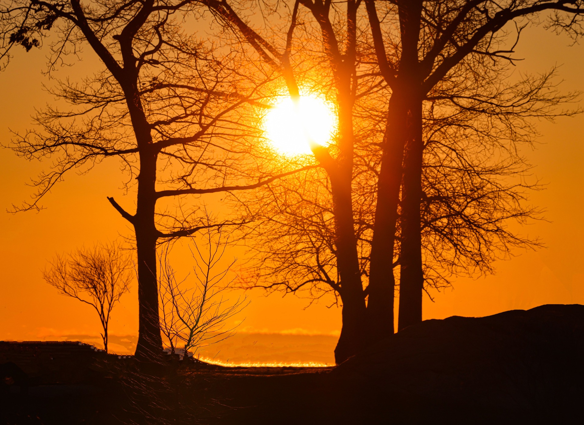 Rauhallinen metsämaisema auringonlaskussa